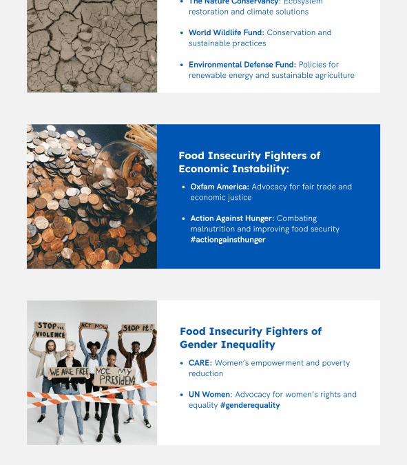 NGOs Fighting Global Hunger